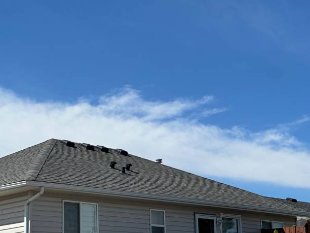 Fast & Reliable Emergency Roof Repairs in Fairfax Station, VA